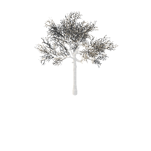 BeecthTree02Winter_afsTREE_xmvcb _xlod00_xlp_1